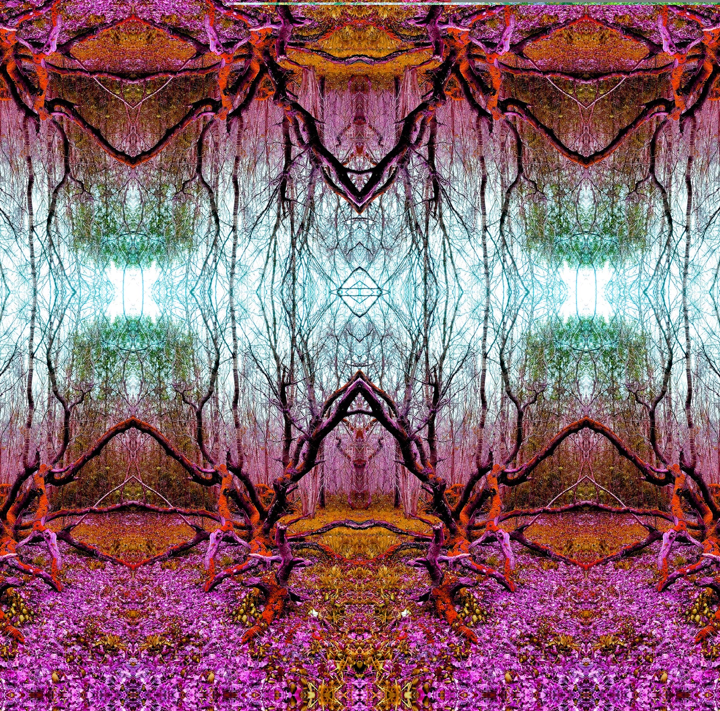Boschi incantati mattina e sera (Treesee Clowes Wood) 2021