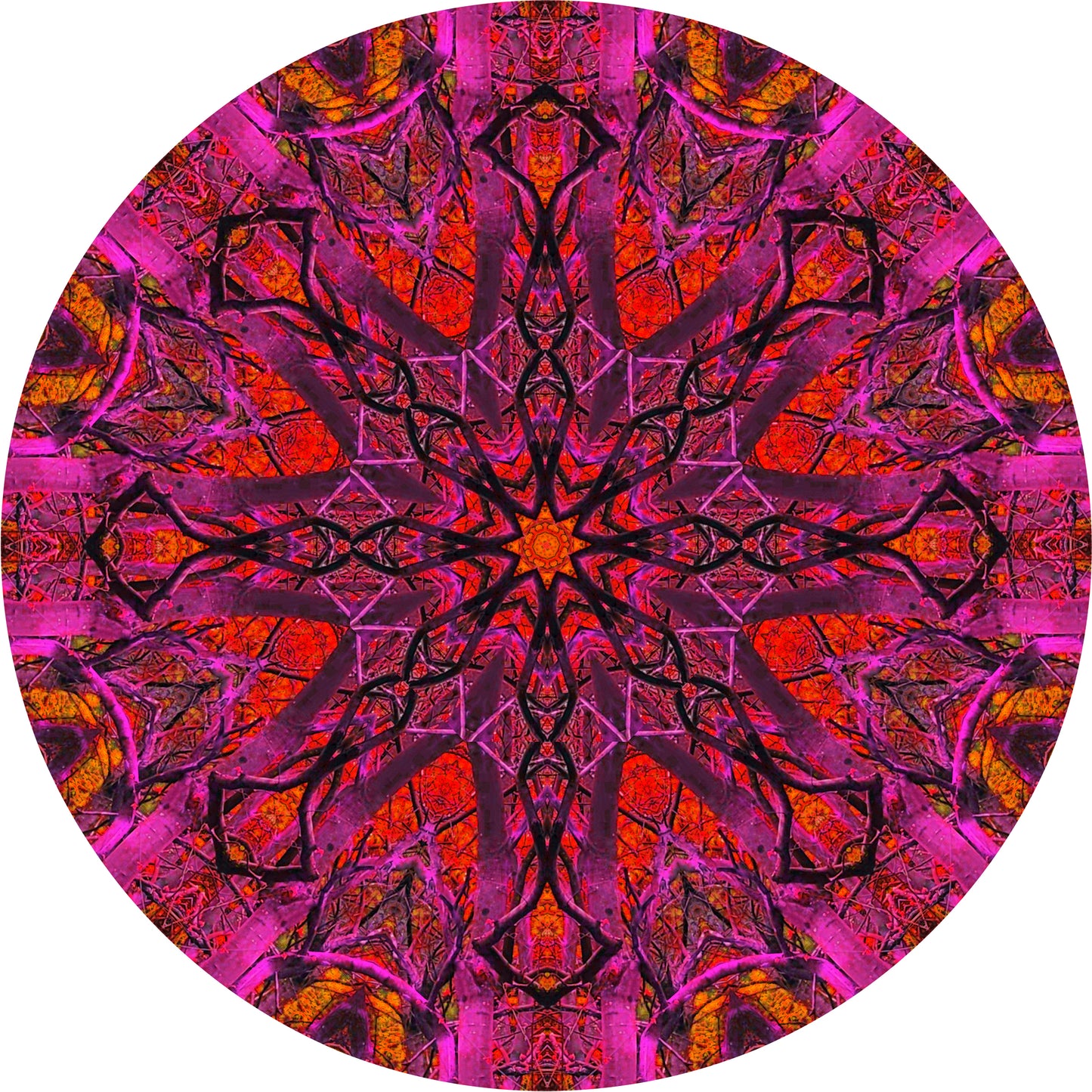 Riflesso di campanule (Treesee Kings Wood) 2023