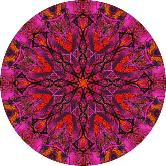 Bluebell Reflection (Treesee Kings Wood) 2023