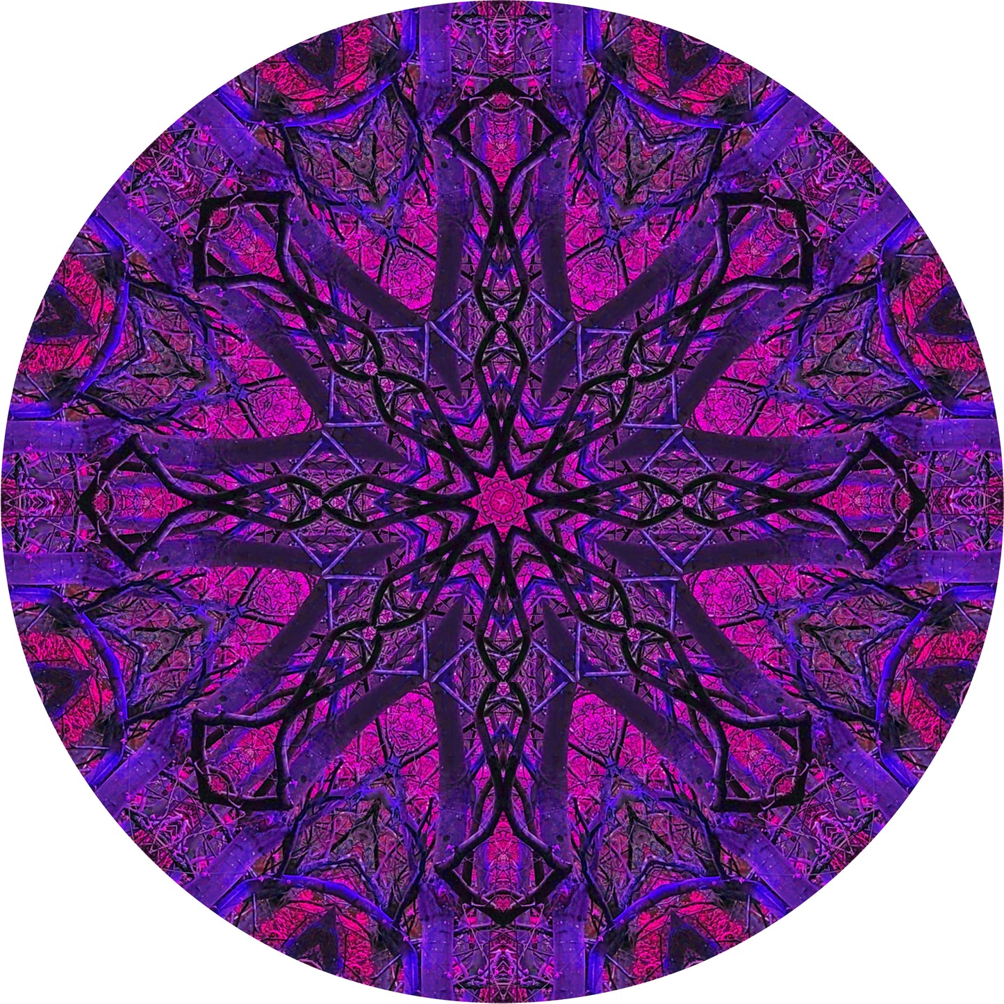 Riflesso di campanule (Treesee Kings Wood) 2023