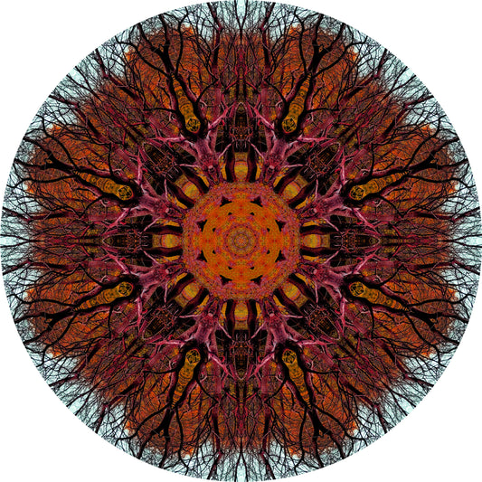 Tree Bloom (Treesee Kings Wood) 2023