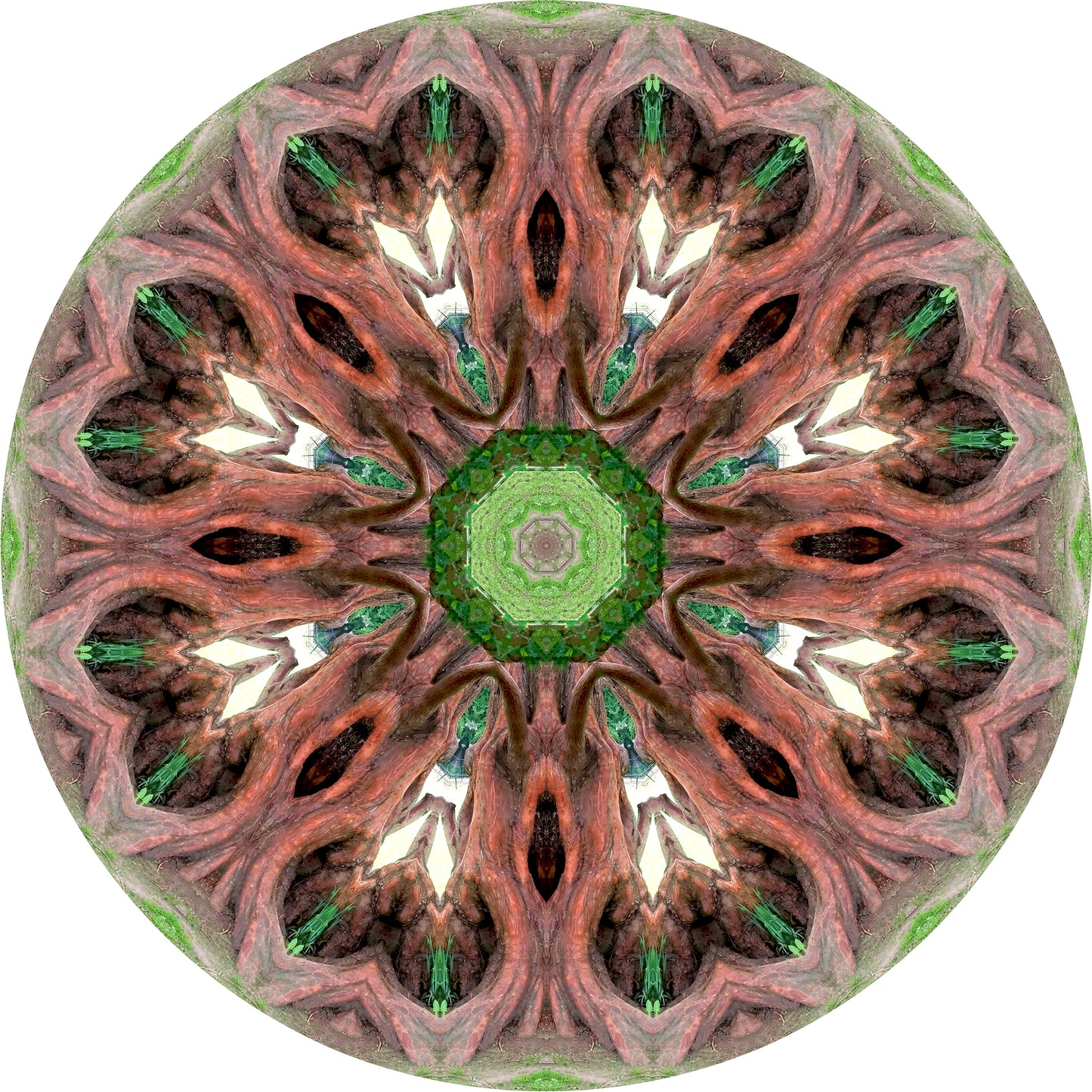 Heart Wood (Treesee Westgate Gardens) 2022