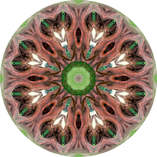 Heart Wood (Treesee Westgate Gardens) 2022