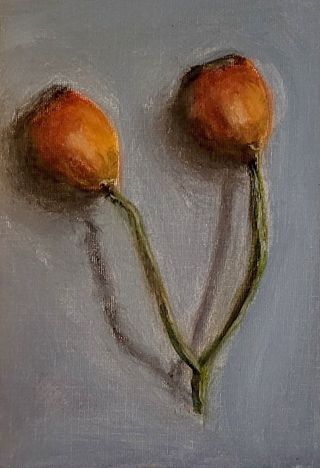 Rosehips - Small Oil Study