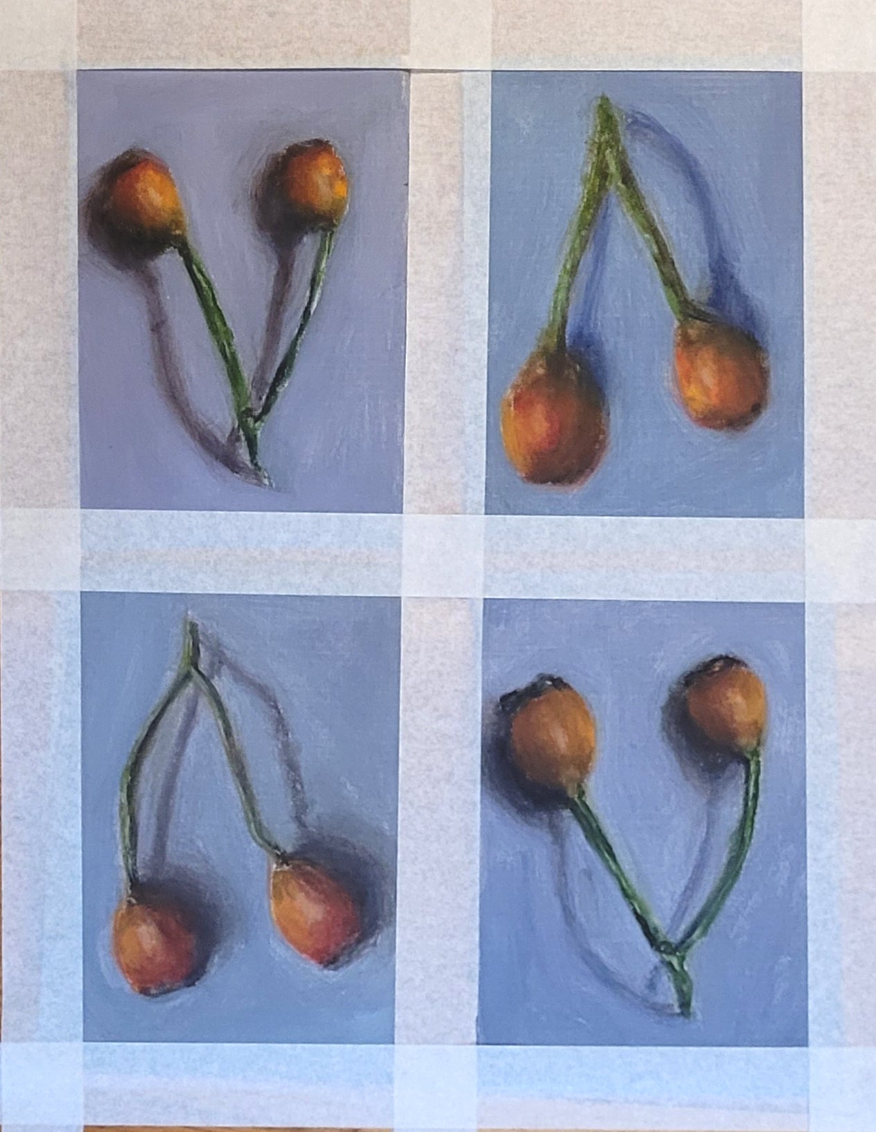 Rosehips - Small Oil Study