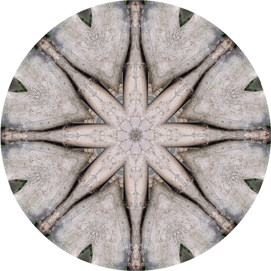 Tree Architecture (Treesee Solley's Orchard) 2022