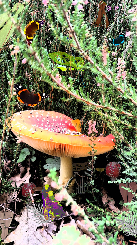 Unlocked (the seventeenth)