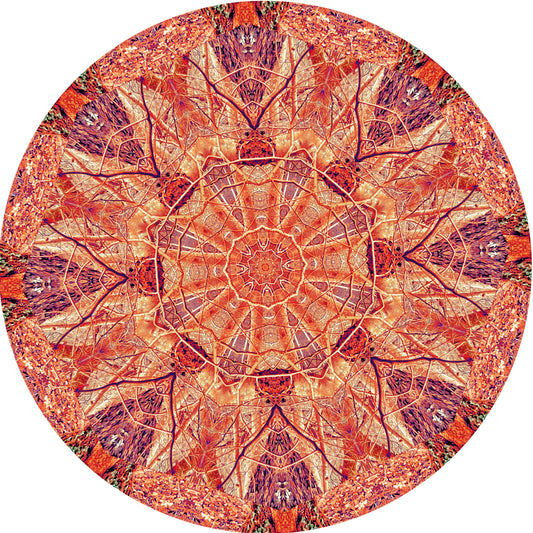 Midsummer (Treesee Wakehurst Gardens) 2023