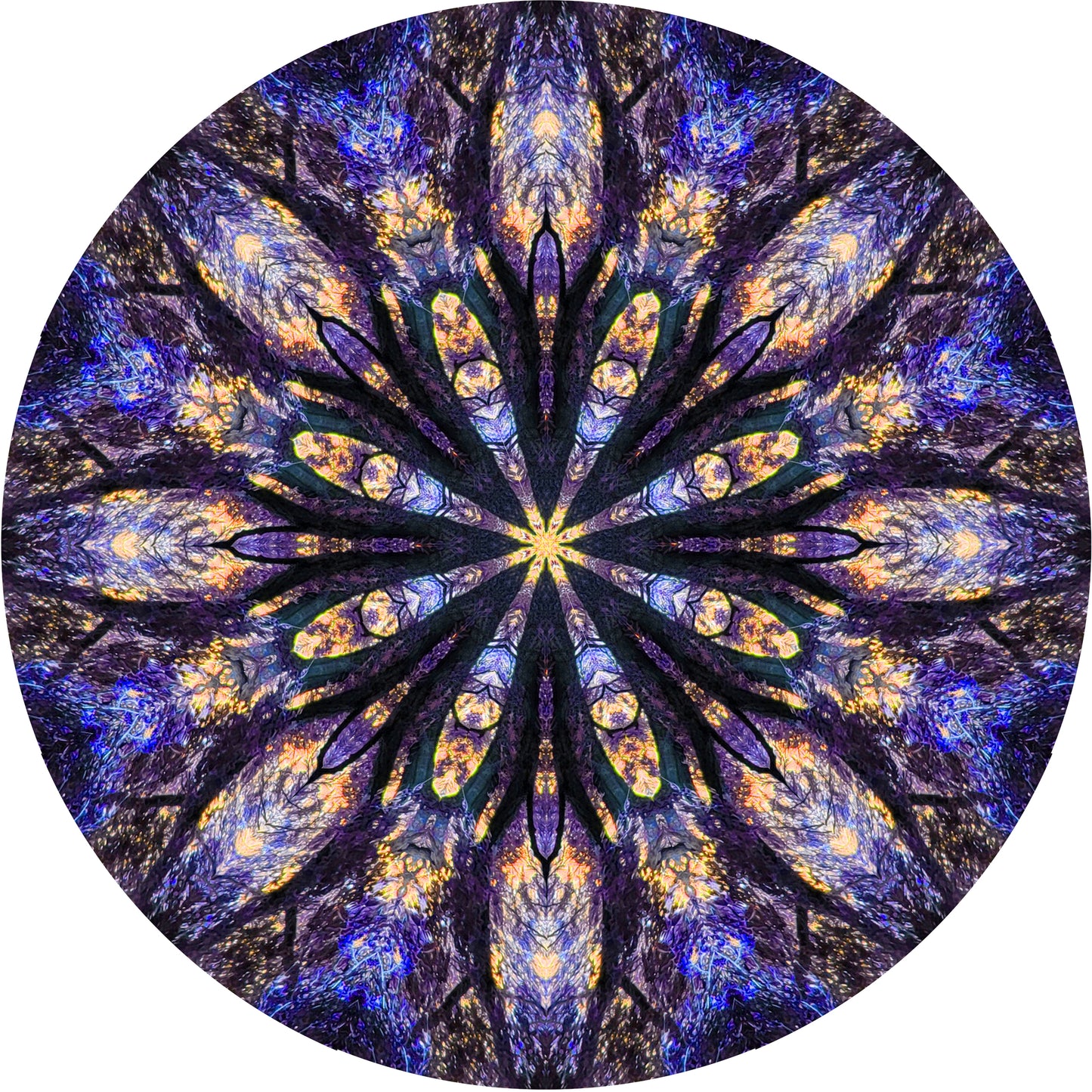 A mandala in bluey purple and pale orange, created from a photo of a tree. there are lots of fascinating details that look like tree sprites in the image