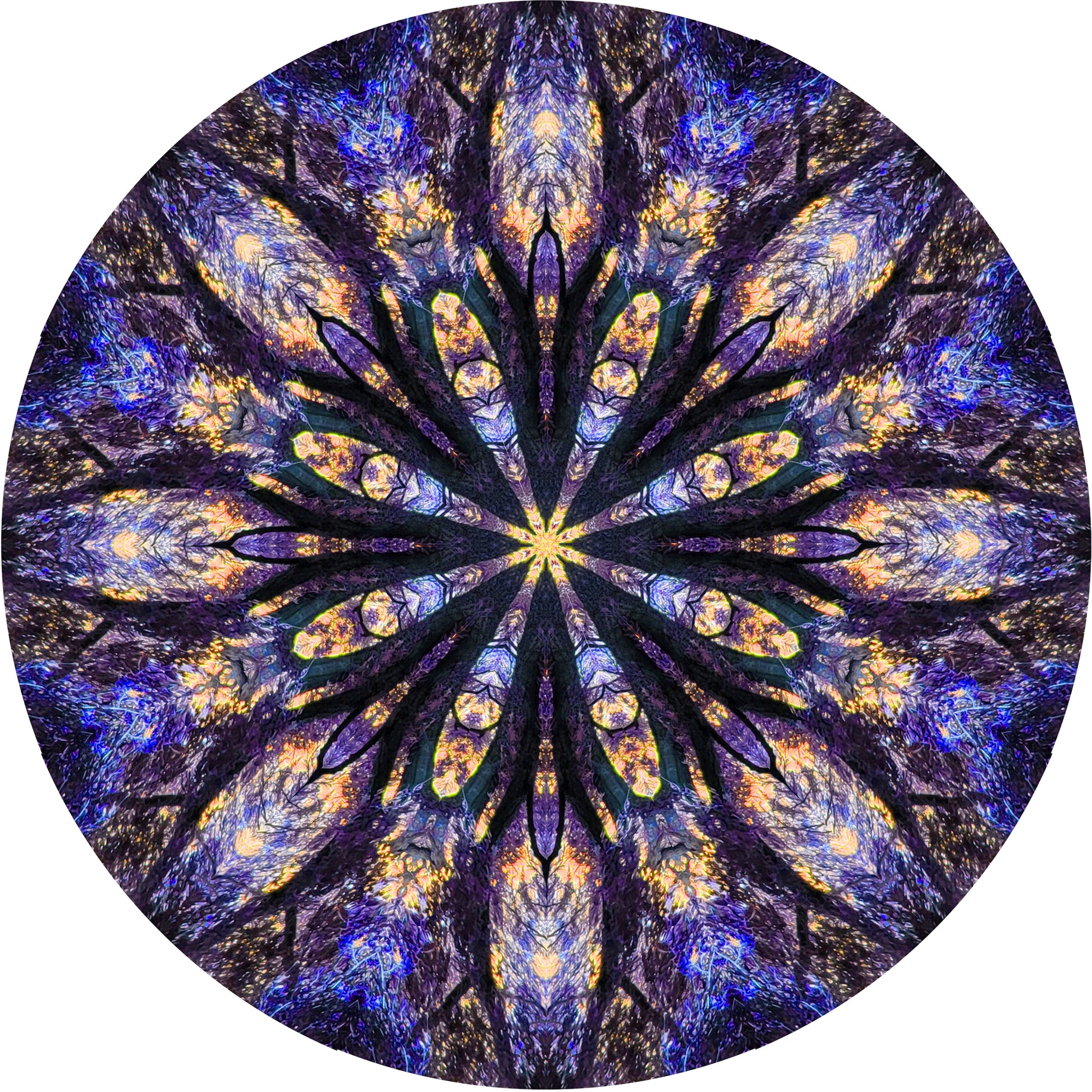A mandala in bluey purple and pale orange, created from a photo of a tree. there are lots of fascinating details that look like tree sprites in the image