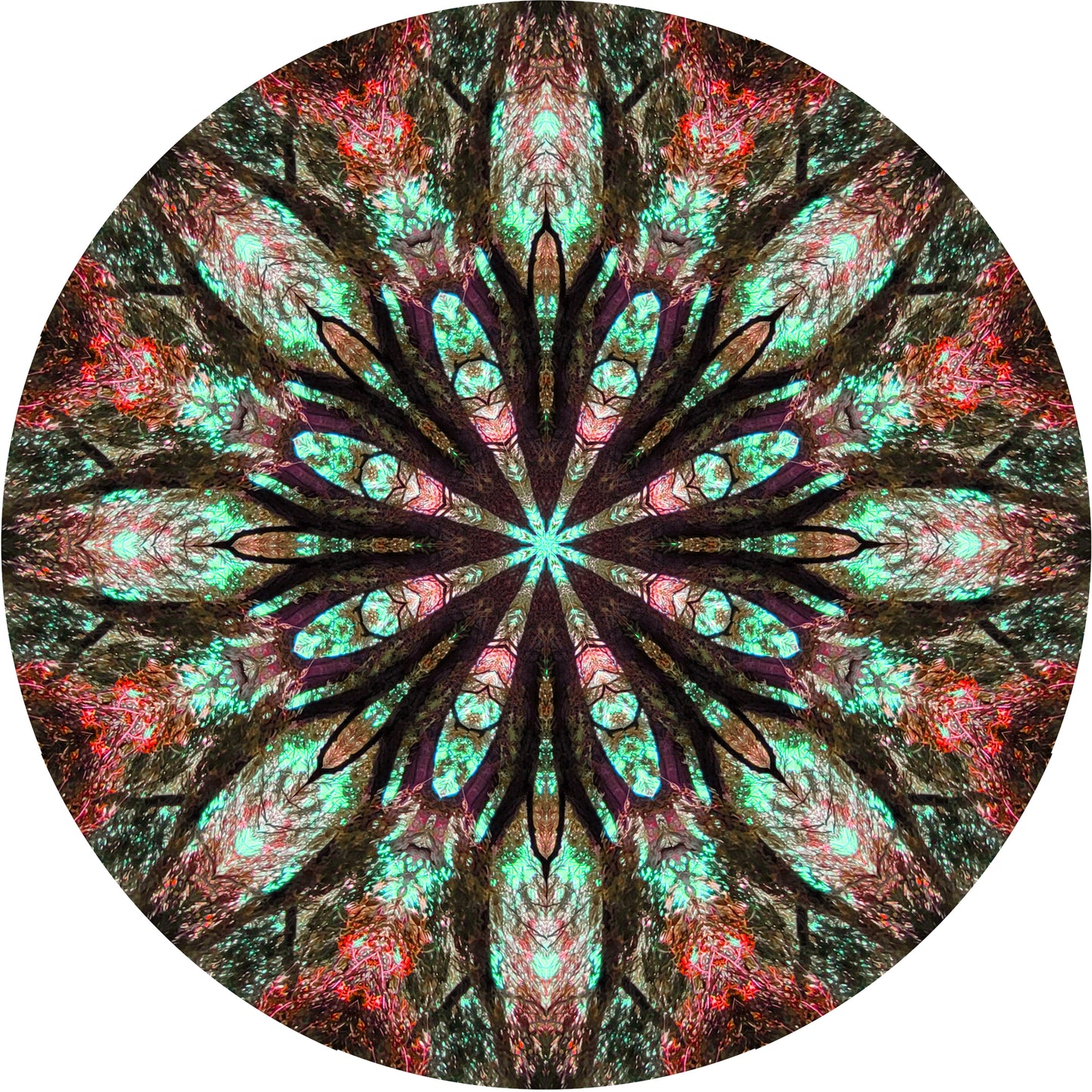 A mandala in red and green, created from a photo of a tree. there are lots of fascinating details of watery reflections and tree sprites 