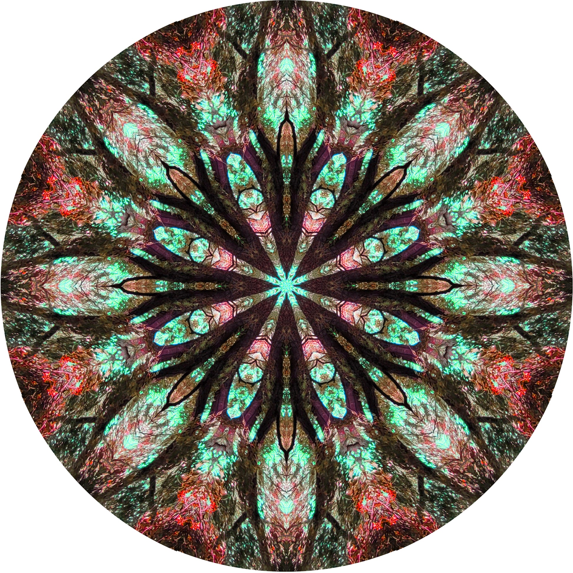 A mandala in red and green, created from a photo of a tree. there are lots of fascinating details of watery reflections and tree sprites 